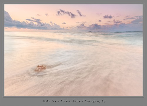 Conch Shell Sunrise on the Caribbean Sea, Cayman Brac, Cayman Islands