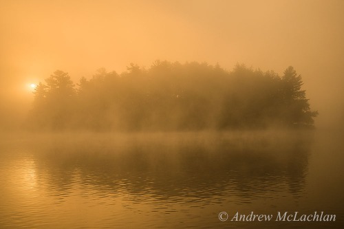 Sunrise on Horseshoe Lake Nikon D800, Nikon 24-85mm VR Lens @ 34mm ISO 400, f16 @ 1/200 sec Handheld