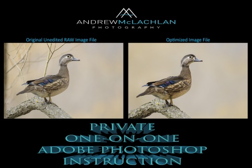 Private Photoshop Instruction_2