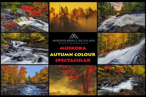 Muskoka Fall Colour Spectacular_2020